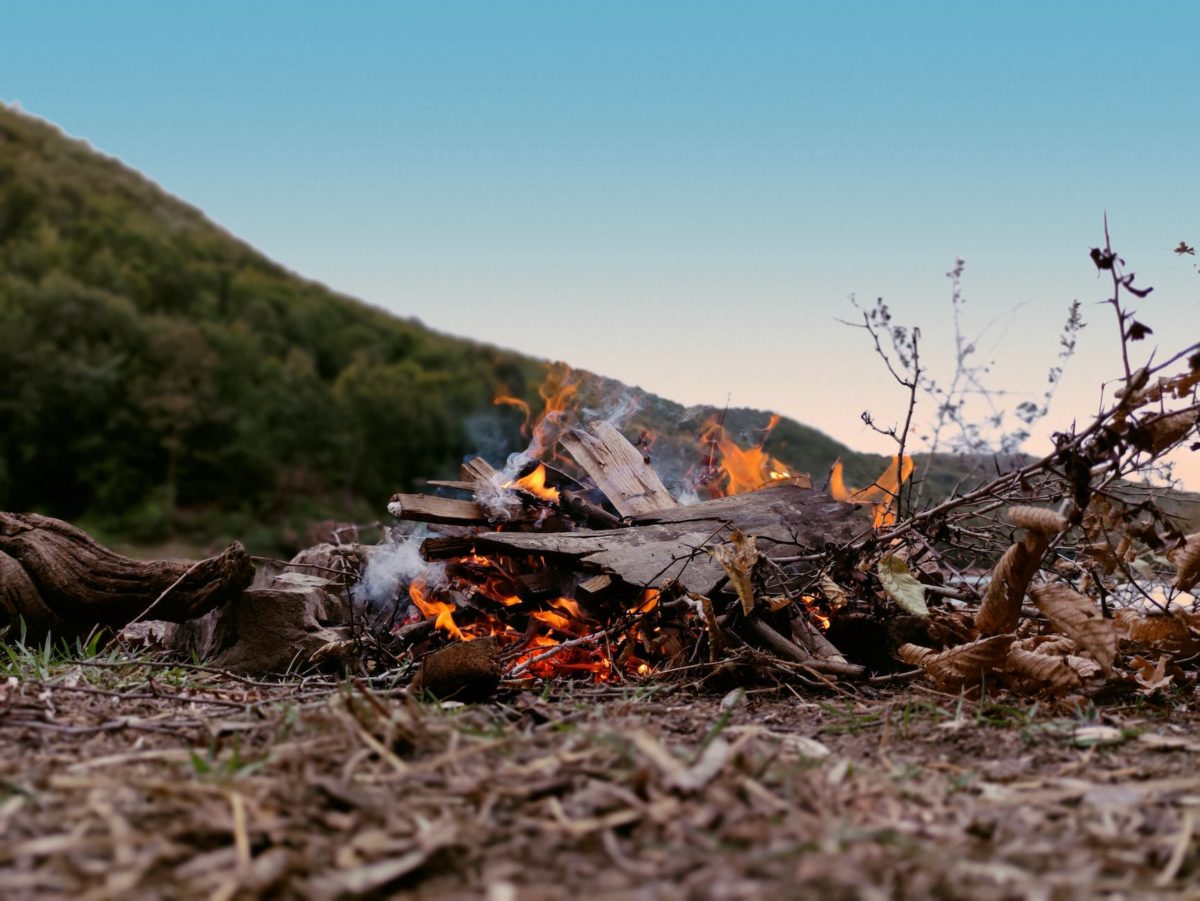 burning dry wood on ground